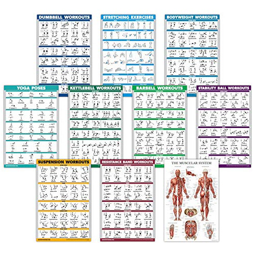 Quickfit - Juego De 10 Carteles De Ejercicios: Con Mancuerna