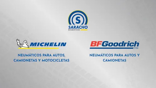 Kit X2 Neumáticos 215/70 R15c Michelin Agilis 3 109/107s