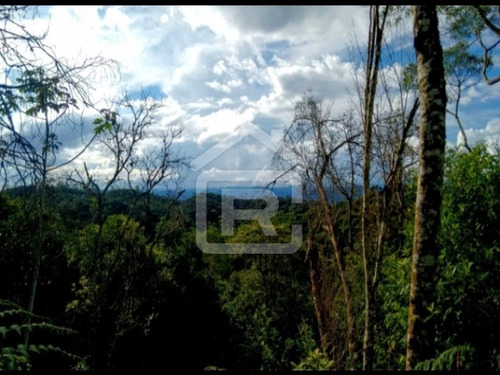 Imagem 29 de 30 de Lindo Sitio Com Uma Maravilhosa Vista No Alto Do Morro Tendo Uma Linda Vista Para O Pôr Do Sol - 113 - 69319003