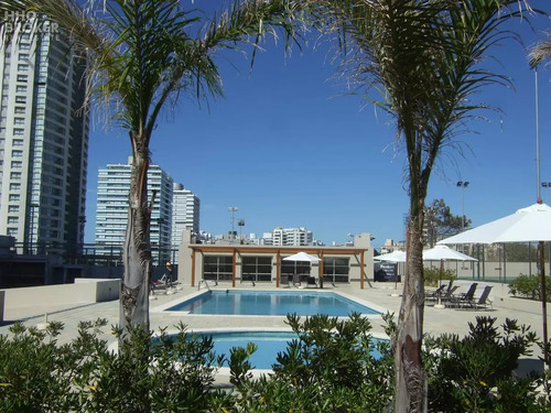 Hermoso Apartamento En Alquiler, Torre Lobos, Punta Del Este.