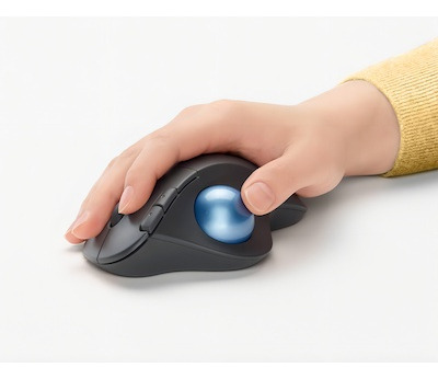 Mouse Logitech Trackball Ergo M575s Inalámbrico Negro