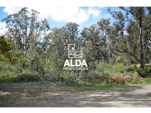 Imagen 1 de 11 de Terreno Punta Colorada Piriápolis Venta Te201488
