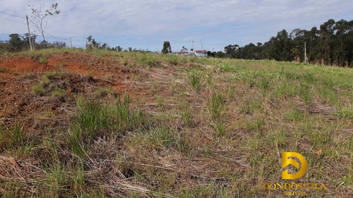 Terreno À Venda No Bairro Archimedes Naspolini - Criciúma/sc - 134