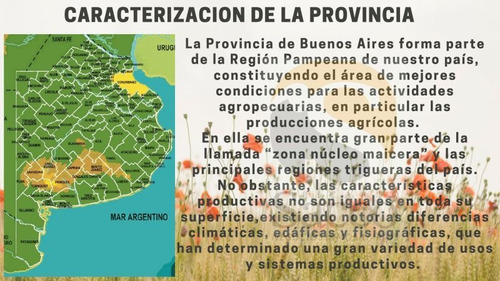 Imagen 5 de 12 de Campo De 50 Has En Venta En Distrito De #trenquelauquen