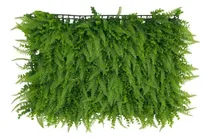 Comprar Tapete De Hojas Y Helecho, Planchas Jardines Verticales