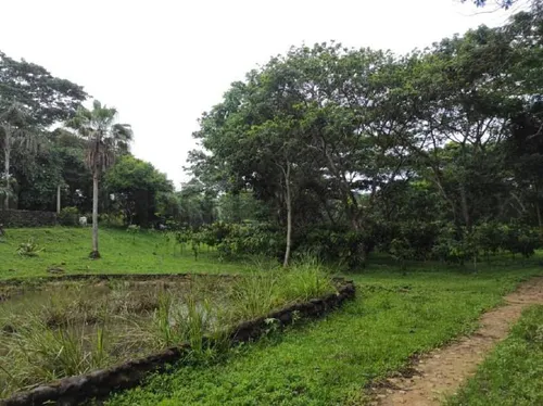 Finca En Venta Las Lapas
