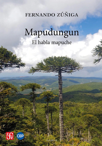 Mapudungun: El Habla Mapuche