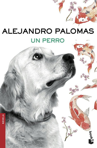 Libro Un Perro