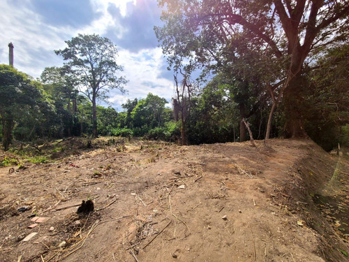 En Venta Terreno De 1243mts, Excelente VĂas De Acceso, Zona Residencial Ubicado En Urb. Colinas De Guataparo, Valencia