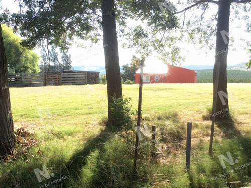 Imagen 18 de 26 de Casa De Campo Para Vivir Todo El Año O Disfrutar. - Garzón Pueblo Garzón