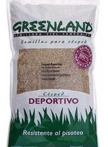 Semillas Greenland Cesped Deportivo X 500 Gs Maxscotas Pets 