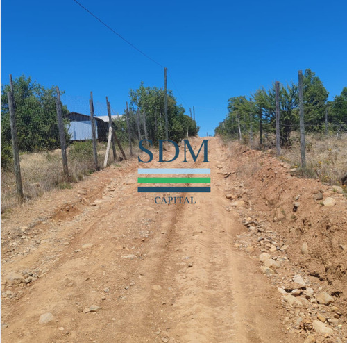 Venta Parcela 5000mts San Clemente