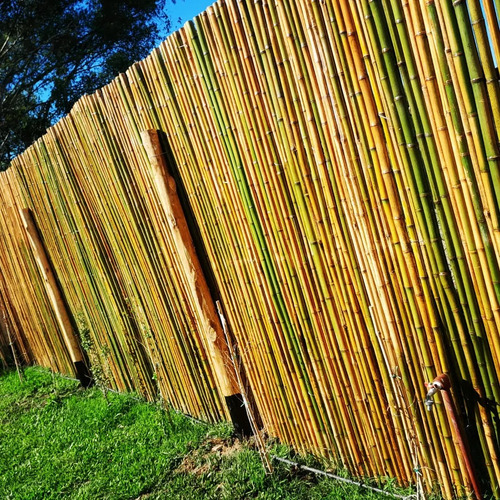 Cercos 2 Mts Alto X 1 De Ancho! Tacuara Pérgolas Verde Claro