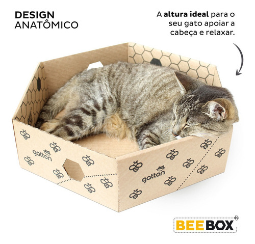 Caixa Hexagonal De Papelão Beebox Para Gatos