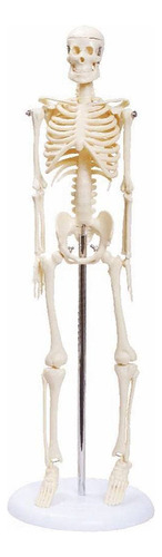 Esqueleto De 45 Cm Tgd-0121 - Anatomic