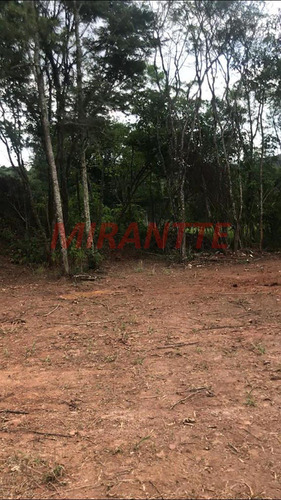 Imagem 6 de 8 de Terreno Em Serra Da Cantareira - São Paulo, Sp - 352874