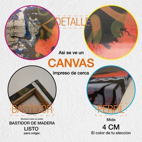 Cuadro Canvas Michael Myers