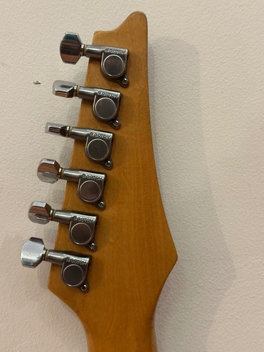 Guitarra Luthier Tipo Jem | Dimarzio Evolution | Floyd Gotoh (Usado)