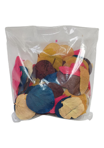 Folha Moeda Mista Variada Seca Natural Decoração- 350 Folhas