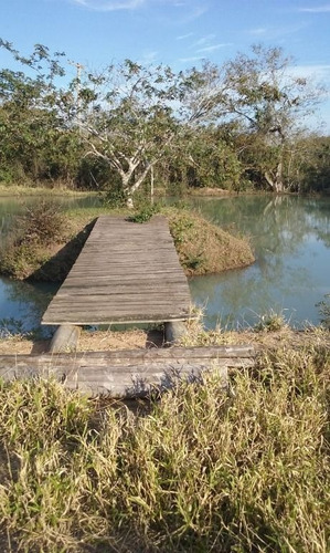 Imagem 3 de 30 de Sítio Com 4 Dormitórios À Venda, 60000 M² Por R$ 375.000 - Viamão - Viamão/rio Grande Do Sul - Si0018