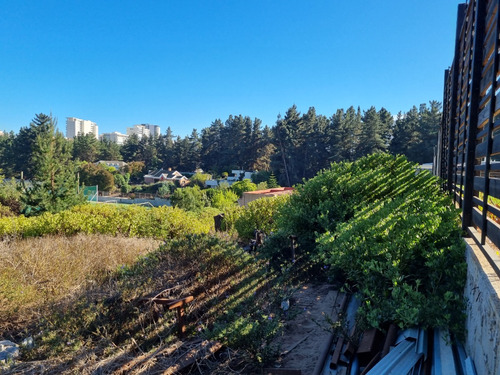 Excelente Terreno En Los Pinos