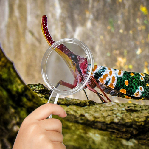 Lupa Portátil Para Niños, 20 Unidades, Lupa Para Niños Peque