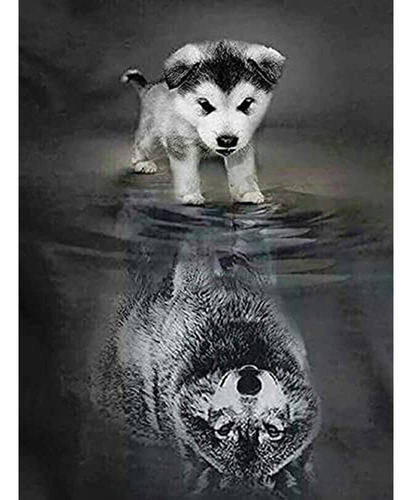 5d Diamond Painting Wolf And Dog's Reflections Full Drill By