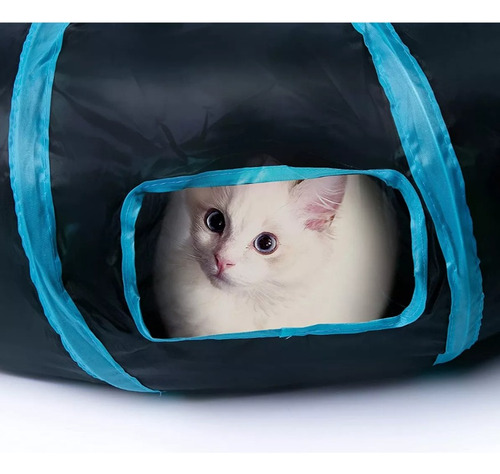 Tunel Curvo Plegable Para Mascotas, Juguete 