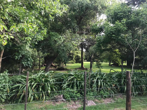 Imagen 13 de 14 de Casa De Campo 1 Ha Pileta Libre Este Finde!