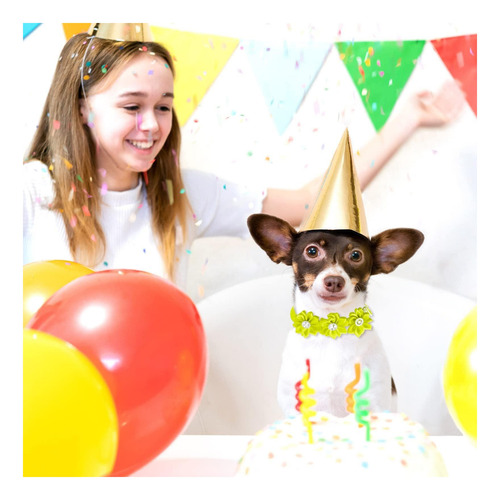 Reginario 80 Pcs Dog Bowtie Flower Collar Accesorios Para De Multicolor.
