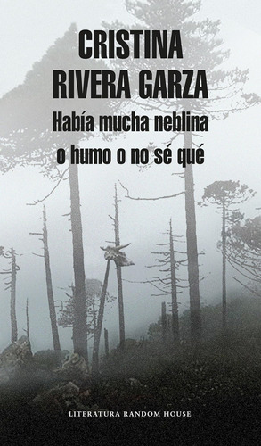 Libro: Había Mucha Neblina O Humo O No Sé Qué: Caminar Con J