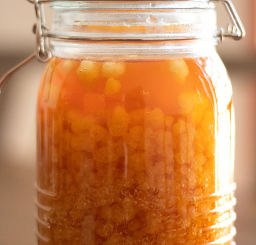 Búlgaros (kéfir) De Agua Y Leche Premium | Probióticos Vivos