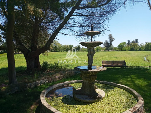 Casa En Venta De 4 Dorm. En Linares