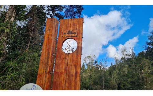 Parcela Con Bosque Nativo En Puerto Varas