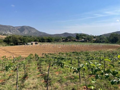 Carlos Colmenarez Vende Fabulosa Finca De 13ha. Con: 2 Lagunas, Agua Por Buco A Gravedad, Posee Electricidad 110 Y 220, Ubicada A Pocos Minutos Del Centro Del Tocuyo Con Acceso Directo De La Autopista