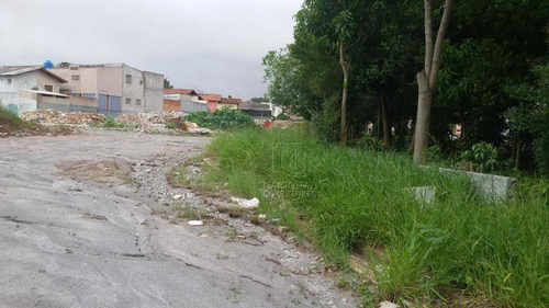 Terreno Para Alugar, 7300 M² Por R$ 70.000,00/mês - Vila Sacadura Cabral - Santo André/sp - Te1009
