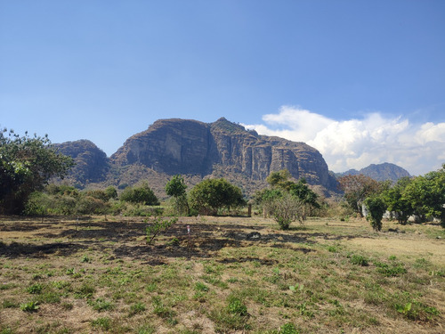 Venta De Terrenos En Tlayacapan, Morelos Todo O En Lotes