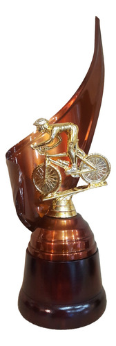Trofeo Metálico Ciclismo Mountain Mtb Bike 32cm Base Madera