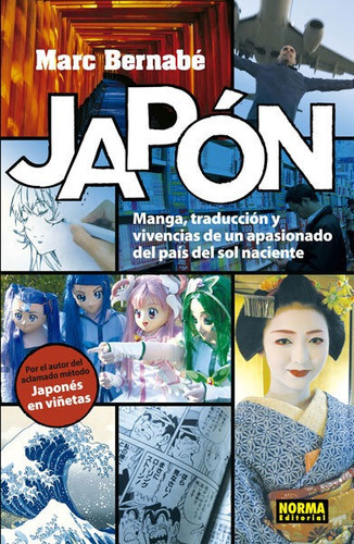 Libro Japones Manga, Traduccion Y Vivencias De Un Apasion...