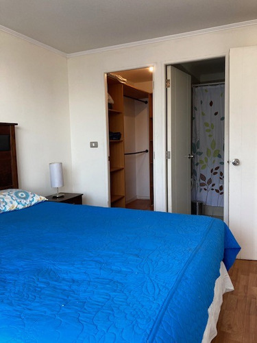 Departamento 1 Dormitorio En Suite Con Gran Terraza