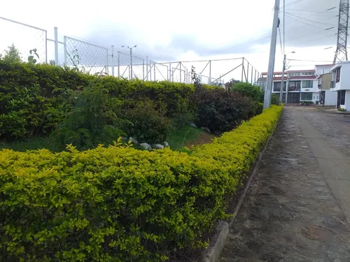 Arriendo Conjunto Hato Grande - La Mesa Cundinamarca