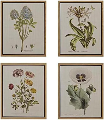 Martha Stewart Herbal Botany Arte De Pared Decoración De Sal