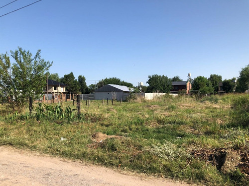 Imagen 3 de 16 de Terreno De 20 X 20 Metros (400 M2) - Con Escritura