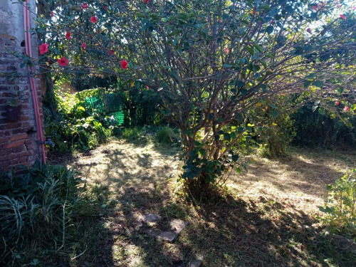Imagen 5 de 7 de Casa En Venta Lima-zarate.