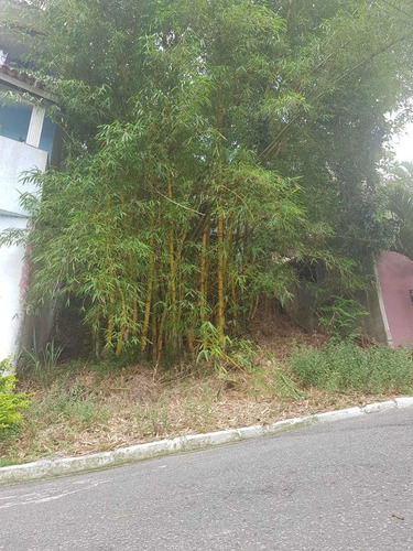 Imagem 5 de 12 de Terreno No Bairro Taquara Ci2192