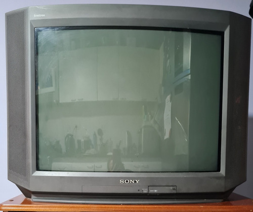 Televisor Sony Trinitron 29  + Mesa Con Puertas De Vidrios.