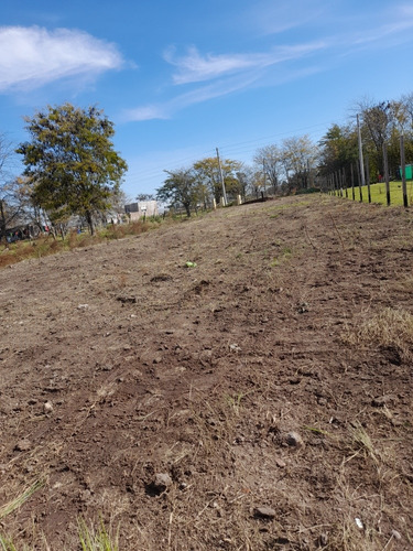 Terreno En Venta En Virrey Del Pino 60x12 M²