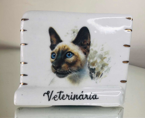 Pergaminho De Porcelana Com Gato Medicina Veterinária - 9cm