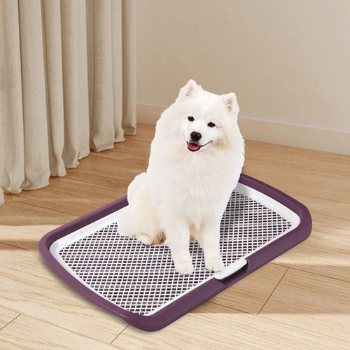 Bandeja Para Orinal Para Perros, Inodoro De Púrpura