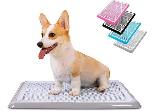 Pet Awesome Dog Potty Tray / Puppy Pee Pad Holder 25  X20  E